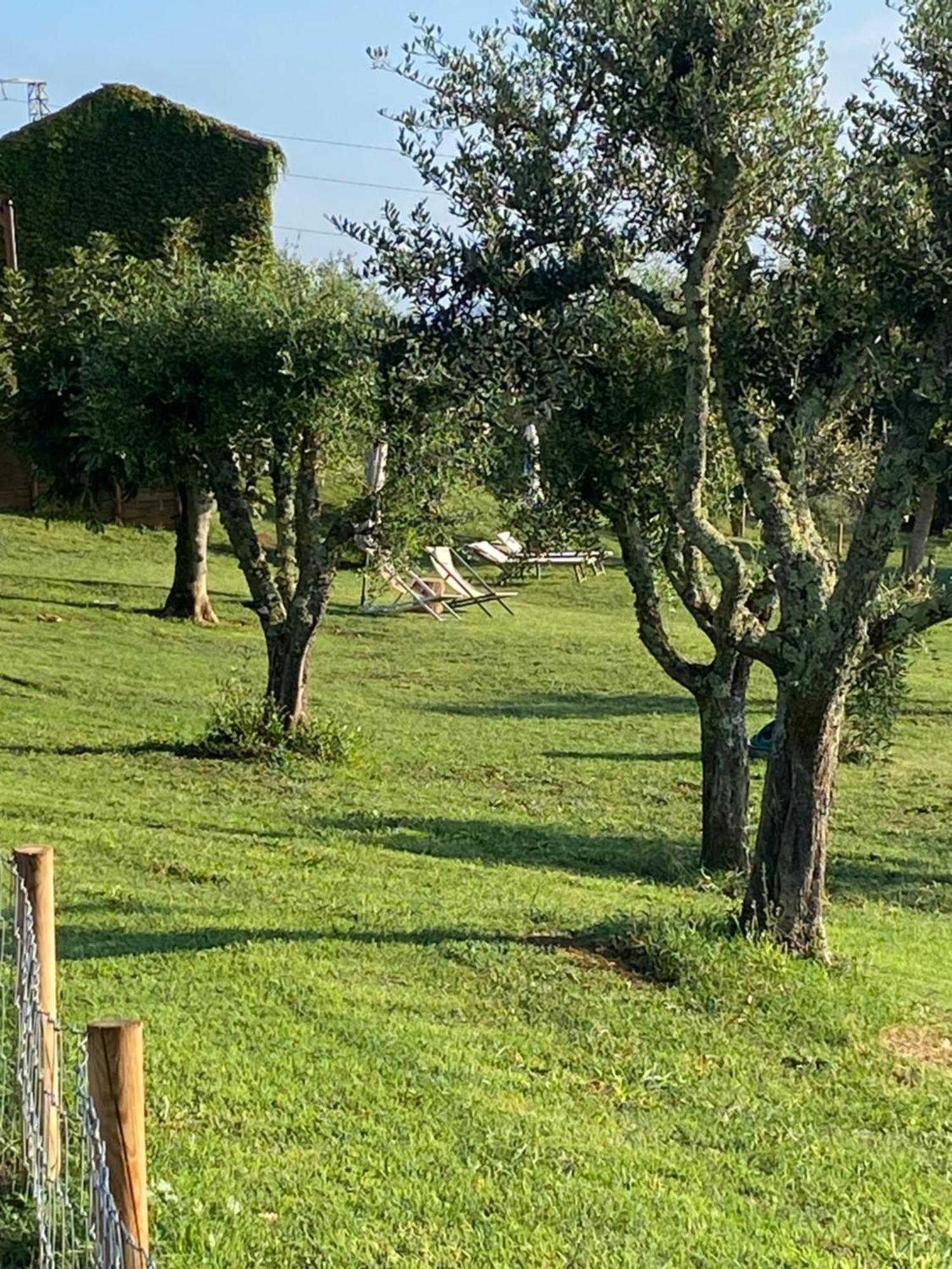 Palazzo Del Papa Country Suites سيينا المظهر الخارجي الصورة